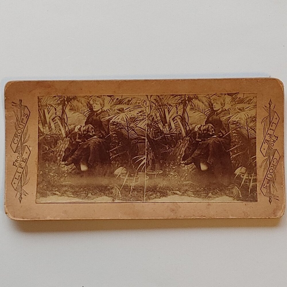 ANTIQUE Stereograph Card Victorian Woman and Bloodhound in Garden